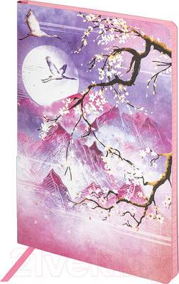 Записная книжка Brauberg Vista Sakura / 112076