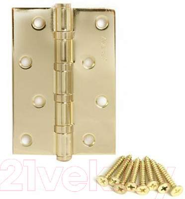 Петли дверные Avers 100x75x2.5-B4-G
