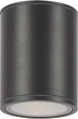 Светильник уличный Maytoni Bar O306CL-L12GF