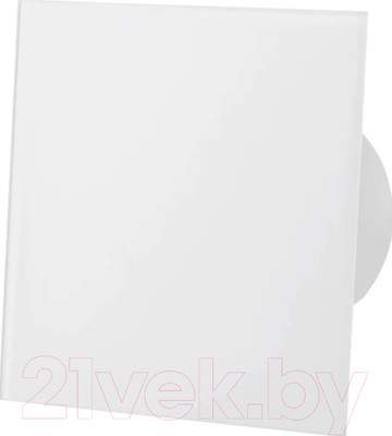 Вентилятор накладной AirRoxy dRim 100PS-C183