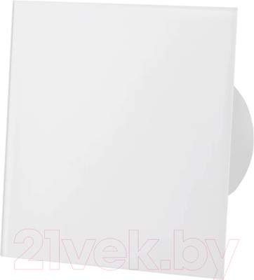 Вентилятор накладной AirRoxy dRim 125PS-C183