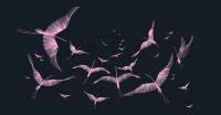 Фотообои листовые Citydecor Perfect Lines 13