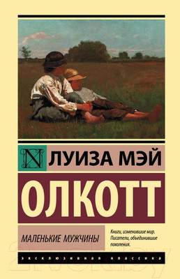 Художественная книга АСТ Маленькие мужчины