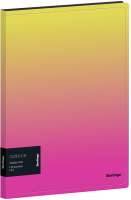 Папка для бумаг Berlingo Radiance / DB4_30001