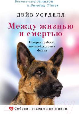 Нехудожественная книга АСТ Между жизнью и смертью