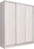 Шкаф-купе Рэйгрупп 176 YYX Elgon РГ-09.03