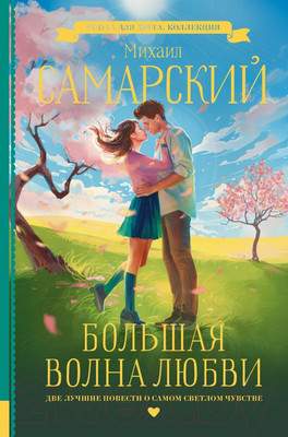 Художественная книга АСТ Большая волна любви