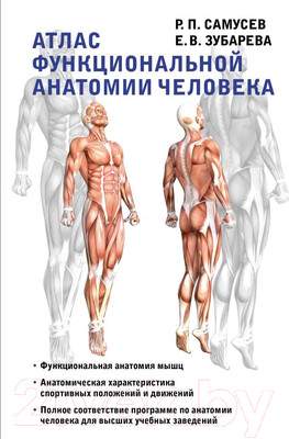 Книга АСТ Атлас функциональной анатомии человека