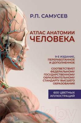 Нехудожественная книга АСТ Атлас анатомии человека