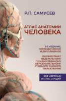 Нехудожественная книга АСТ Атлас анатомии человека