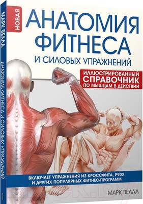 Нехудожественная книга Попурри Анатомия фитнеса и силовых упражнений