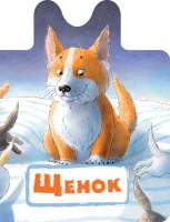 Художественная книга АСТ Щенок. Что на макушке?