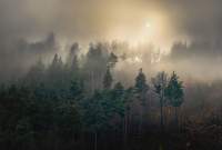 Фотообои листовые