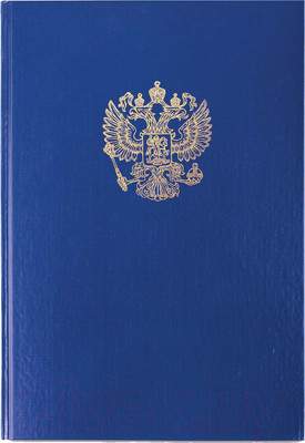 Книга учета Brauberg 130141