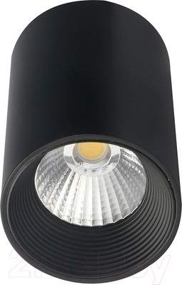 Потолочный светильник ESCADA 20003SMU/01LED SBK