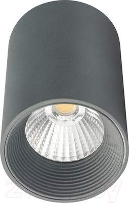 Потолочный светильник ESCADA 20003SMU/01LED SGY