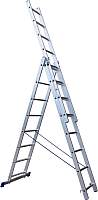 Лестница секционная Stairs ALP314
