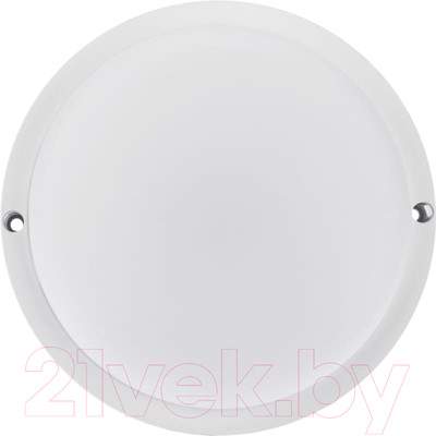 Светильник ЖКХ Rexant 607-274