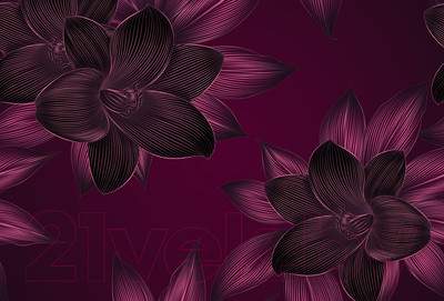 Фотообои листовые Vimala Векторные цветы 11