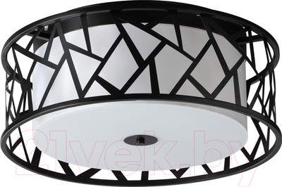 Потолочный светильник Sonex Fabiana 7700/40L