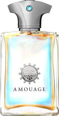 Парфюмерная вода Amouage Portrayal Man