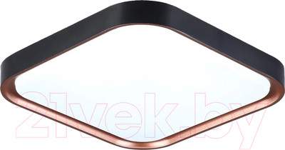 Потолочный светильник Ambrella FZ1271 BK/PGD