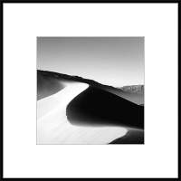 Картина на стекле Stamprint Природа 3 BW003