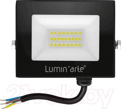 Прожектор LuminArte LFL-20W/06