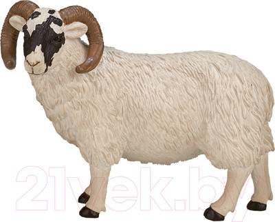 Фигурка игровая Konik Шотландский черноголовый баран / AMF1030