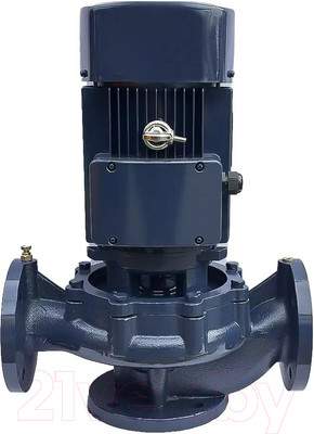 Циркуляционный насос Maxpump IL 65-310/30