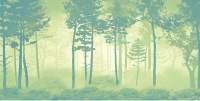 Фотообои листовые Citydecor Таинственный лес 11