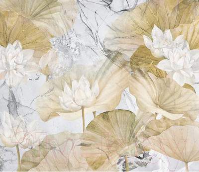 Фотообои листовые Citydecor Blossom 21