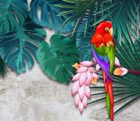 Фотообои листовые Citydecor Животные и Птицы 7