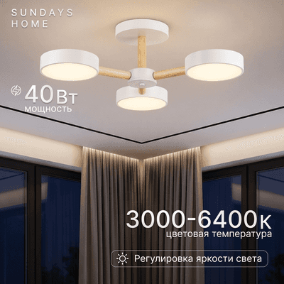 Люстры, потолочные светильники Sundays Home 240924-22 / 5849