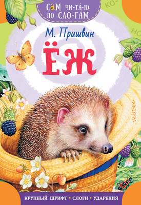 Развивающая книга
