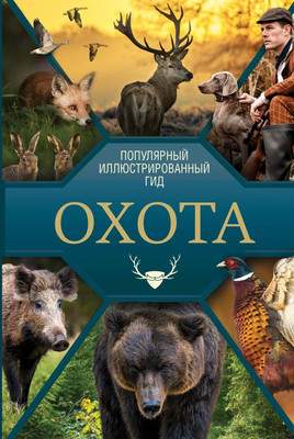 Нехудожественная книга АСТ Ответы мудрой совы