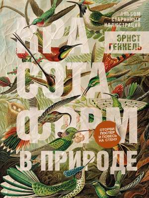 Нехудожественная книга АСТ Красота форм в природе. Альбом старинных иллюстраций