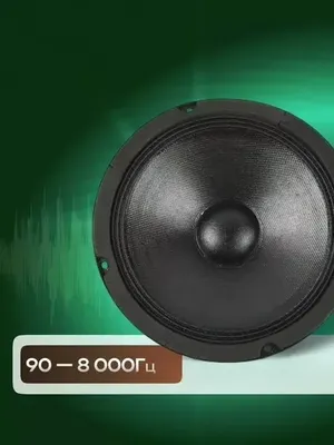 Среднечастотная АС Rokso CZY2502