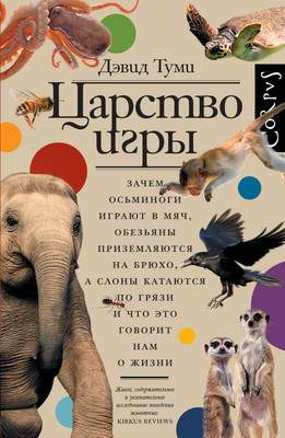 Нехудожественная книга АСТ Царство игры, твердая обложка
