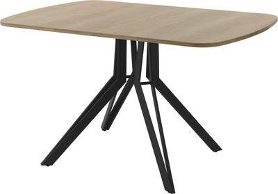 Обеденный стол AMC Elite Е21(1200) D2