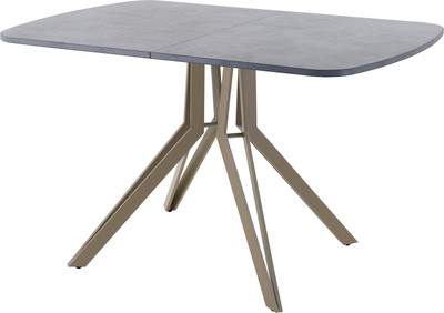 Обеденный стол AMC Elite Е21(1200) D2