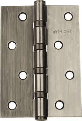 Петли дверные Trodos 100x75x2.5 4ВВ AB