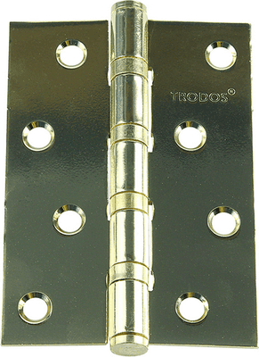 Петля дверная Trodos 100x75x2.5 4ВВ GP