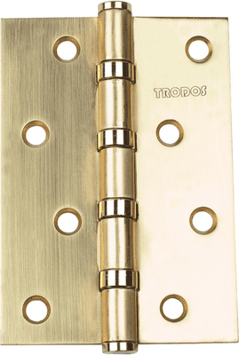 Петли дверные Trodos 100x75x2.5 4ВВ SB