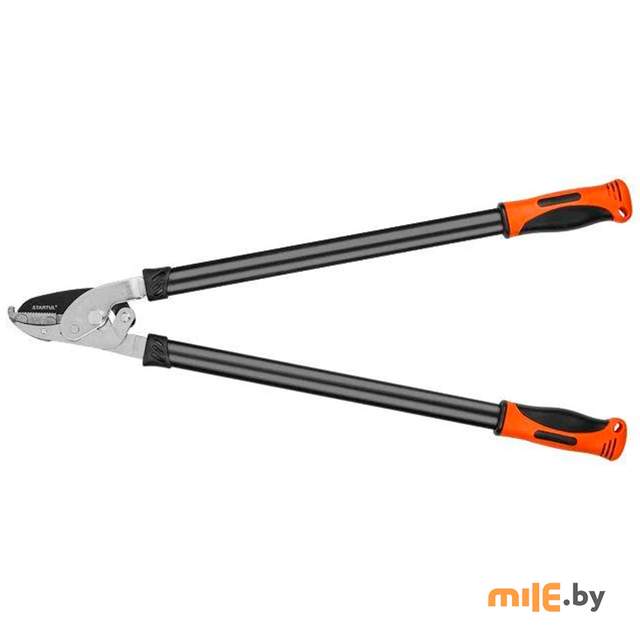 Сучкорез контактный Startul Garden ST6096-04