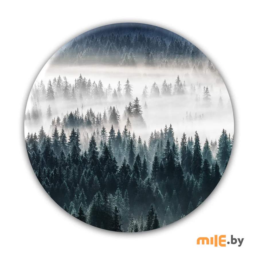 Репродукция на стекле Orlix Лес (GL-01084) 70 см