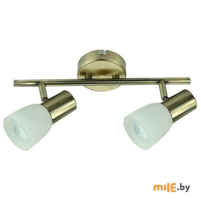 Спот Power Light Standart 3040/2-1BZ