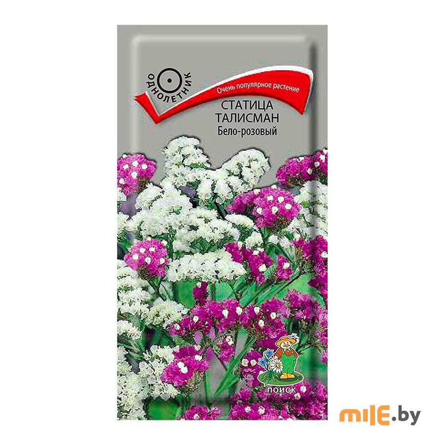 Семена статицы Агрофирма Поиск Талисман (ЦВ) 0,1 г