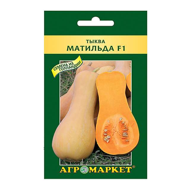 Тыква Агромаркет Матильда