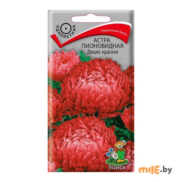Семена астры пионовидной Агрофирма Поиск Дюшес красная (0,3 г)